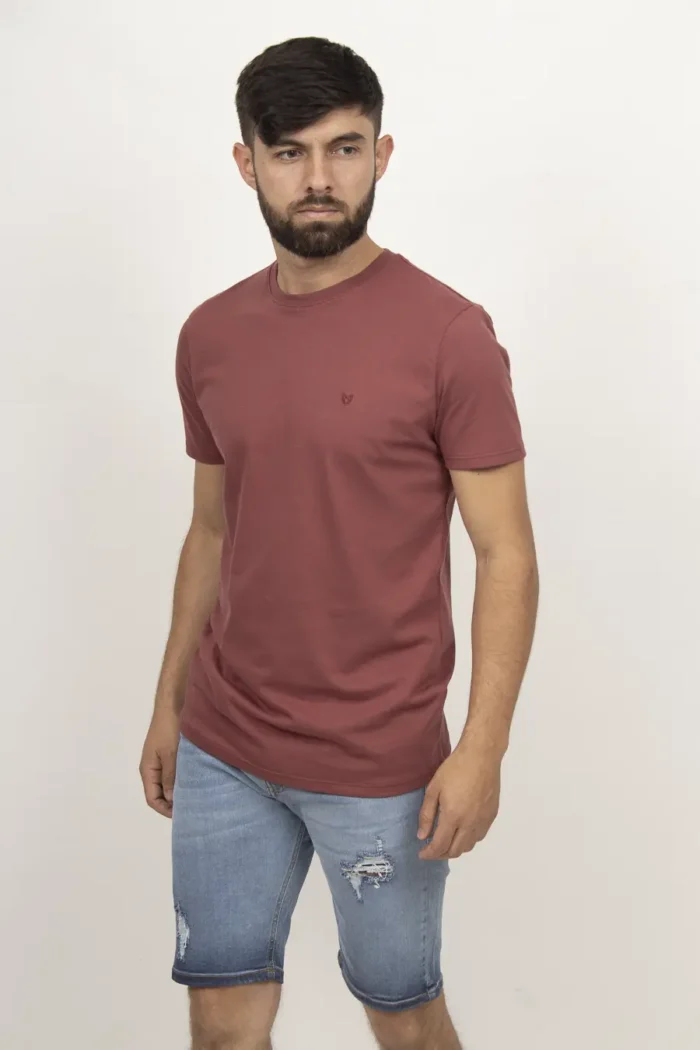 Camiseta Básica 100% algodón Terracota