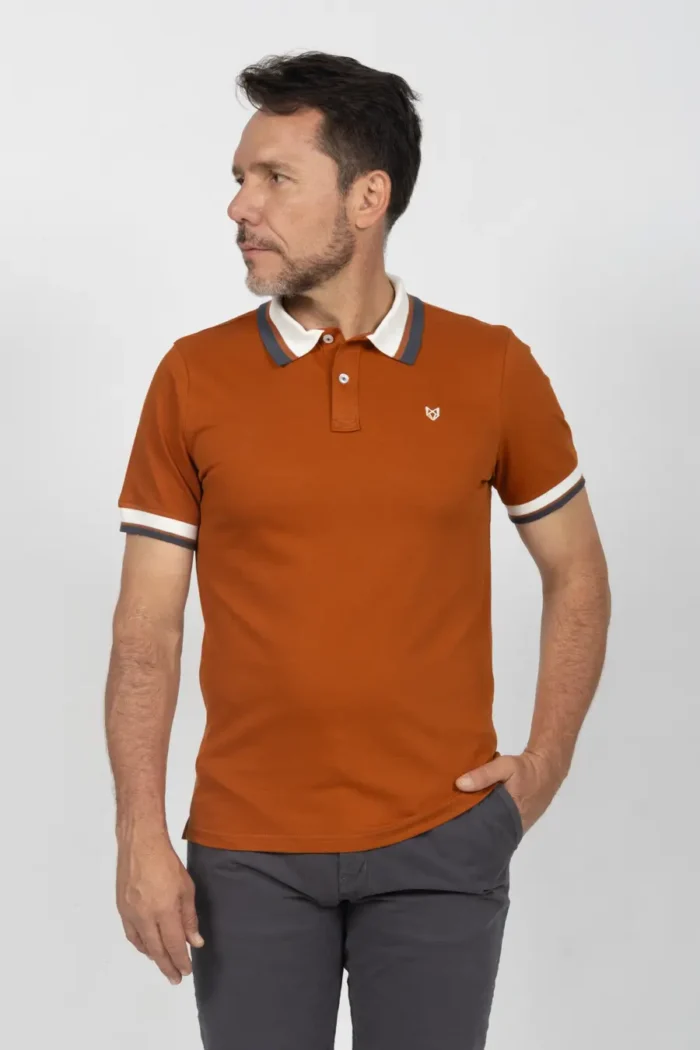 Camiseta de Hombre Tipo Polo, Classic Fit Manga Corta. Cuello Rayas. Terracota